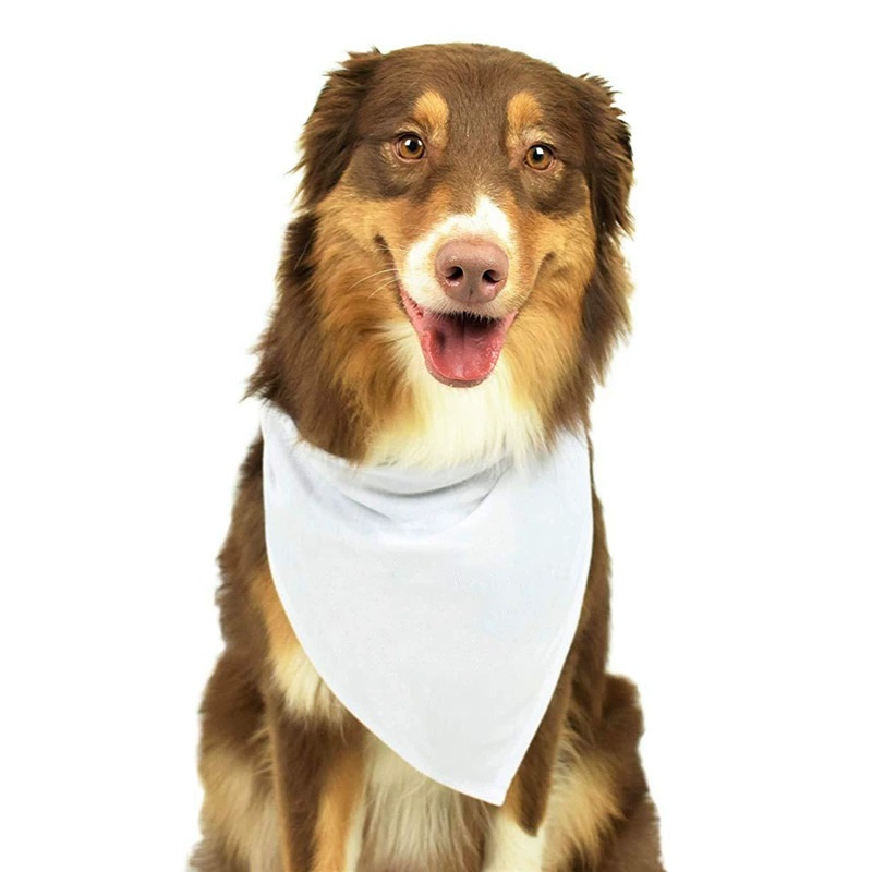 Bandana Blank White - 30 Stück weiße, leere Hundebandanas aus