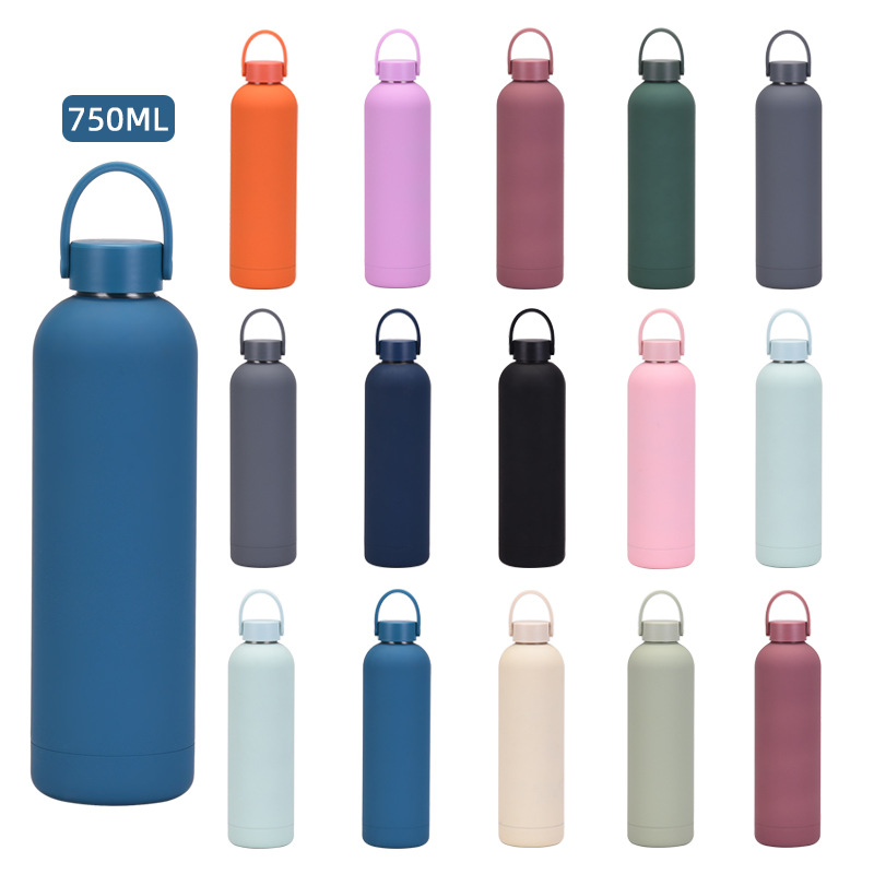 Water Bottle Blank - 350/500/750/1000ml Edelstahl-Thermosflasche/Vakuumflasche mit Griff, Sport-Thermosbecher mit