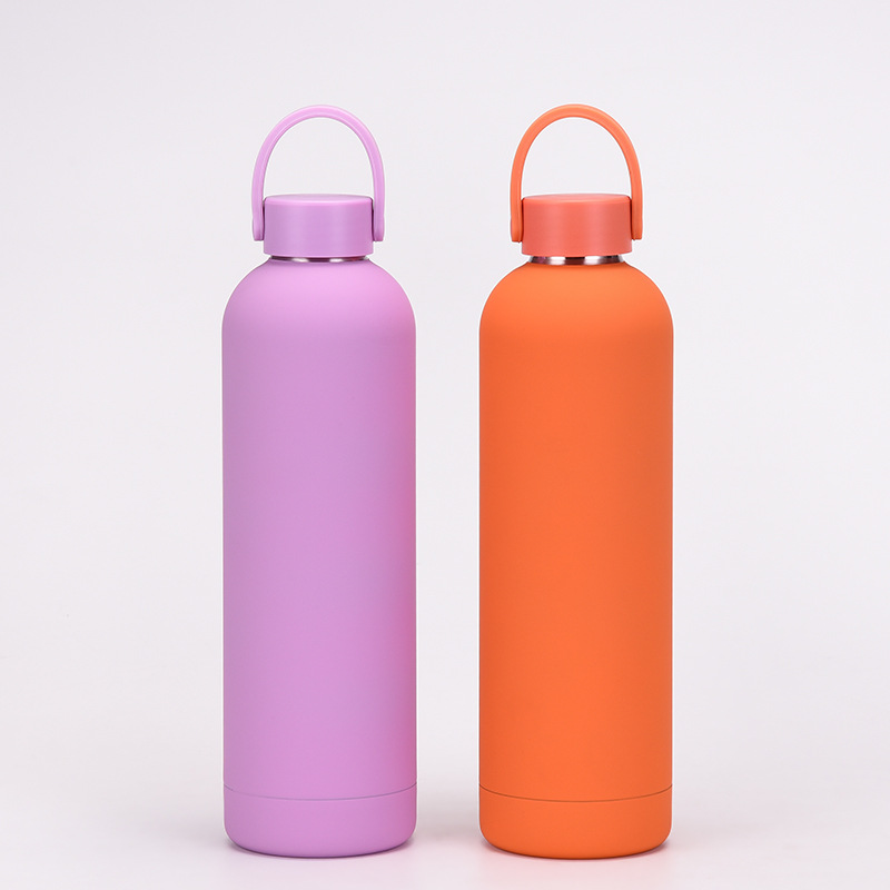350/500/750/1000ml Edelstahl-T – Water Bottle Blank Bewertung und Preis