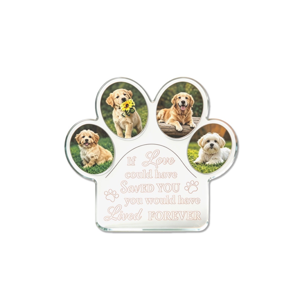 1 Stück Personalisierter DIY F – Photo Acrylic Block Bewertung und Preis